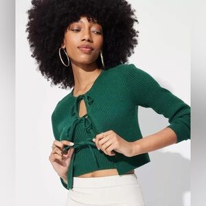 wild fable fly away sweater